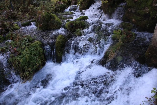 IMG_15291.JPG, 133 KB