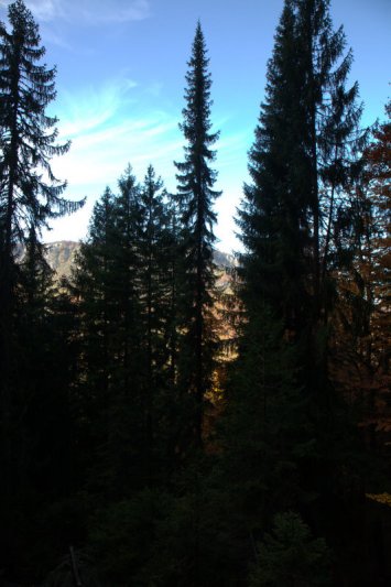 IMG_1595.jpg, 132 KB