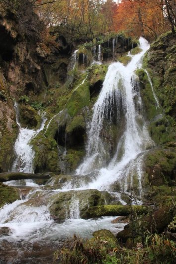 IMG_1711.JPG, 146 KB